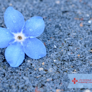 Sausio 13-oji – Laisvės gynėjų diena