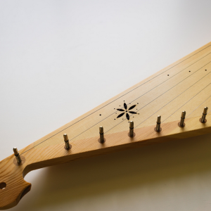 Liaudies folkloro dainininkė Veronika Povilionienė surengė koncertą pacientams savo gimtadienio išvakarėse