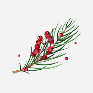 Jaukių Šv. Kalėdų ir sėkmingų Naujųjų metų!