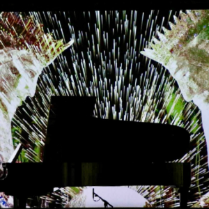 Kviečiame į edukacinį kultūros projektą  MIŠKE