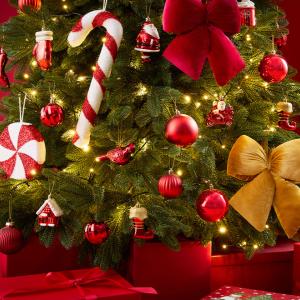 Kviečiame Jus į Kalėdinį koncertą